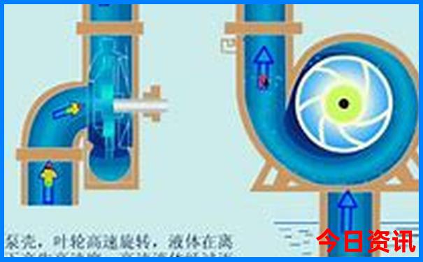 暑假适合到哪里旅游